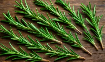 Розмарин: Свойства, ползи и начини за употреба
