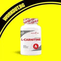 Мнения за ефекта от L-Carnitine 500 mg