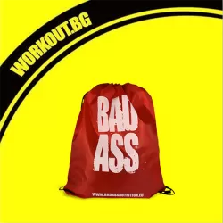 Bad Ass / Training Bag
