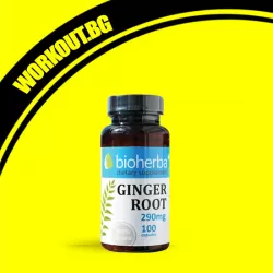 Ginger Root 290 mg