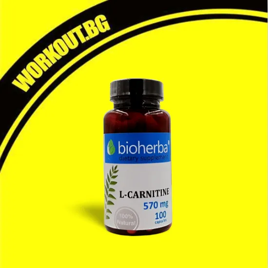 Bioherba L-Carnitine 570 mg