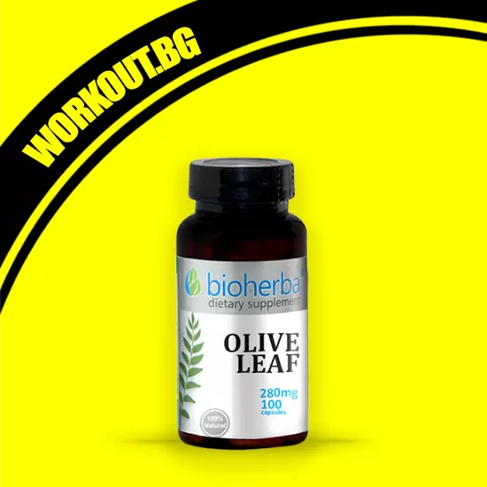 Bioherba Olive Leaf 280 mg [100 капсули]