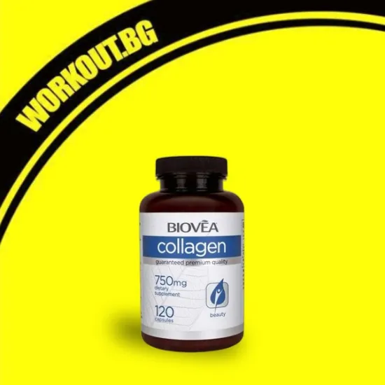 Collagen