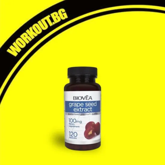 Grape Seed Extract