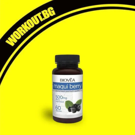 Maqui Berry