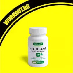 Nettle Root 300 mg