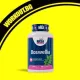 Boswellia Extract 500 mg / 100 Caps