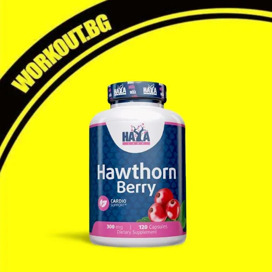 Hawthorn Berry 300 mg / 120 Caps