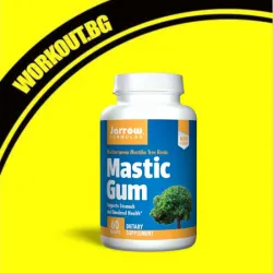 Мнения за ефекта от Mastic Gum 500 mg