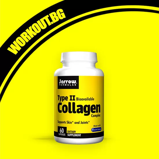 Type II Collagen Complex 500 mg