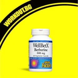WellBetX Berberine 500 mg