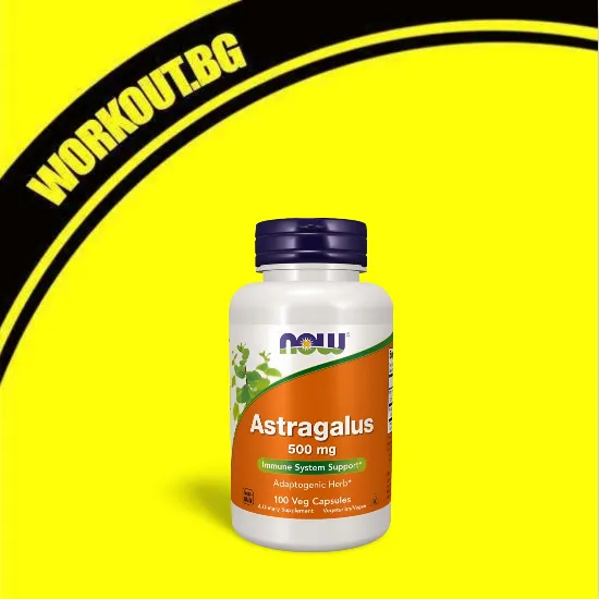 NOW Foods Astragalus 500 mg