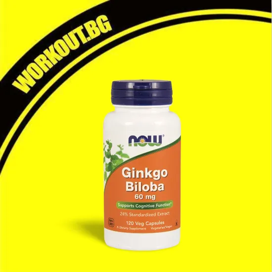 NOW Foods Ginkgo Biloba 60 mg