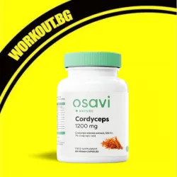 Cordyceps 1200 mg