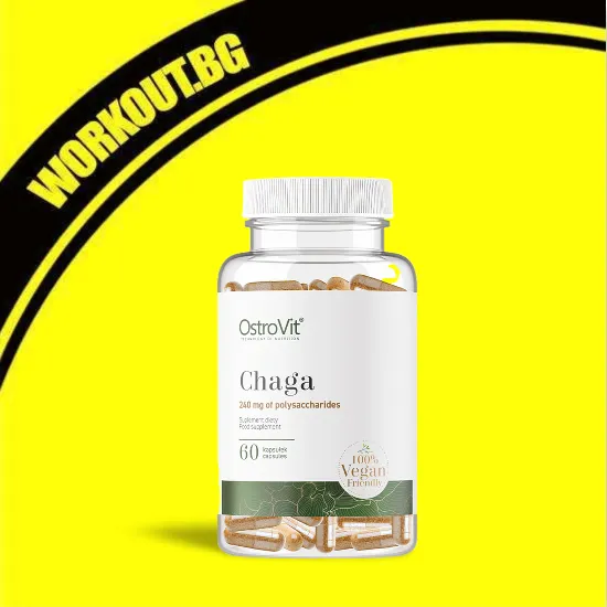 OstroVit Chaga 600 mg | Vege