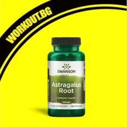 Astragalus Root 470 mg