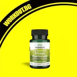 Мнения за ефекта от Full Spectrum Chaga Mushroom 400 mg