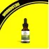 Ginkgo Biloba Liquid Extract 250 mg