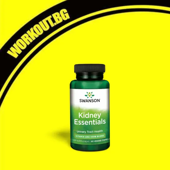 Kidney Essentials