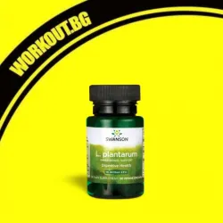Мнения за ефекта от Lactobacillus Plantarum / L Plantarum
